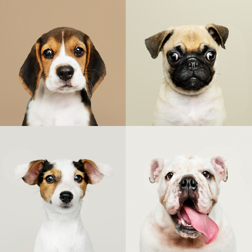 content marketing portfolio feature images-01